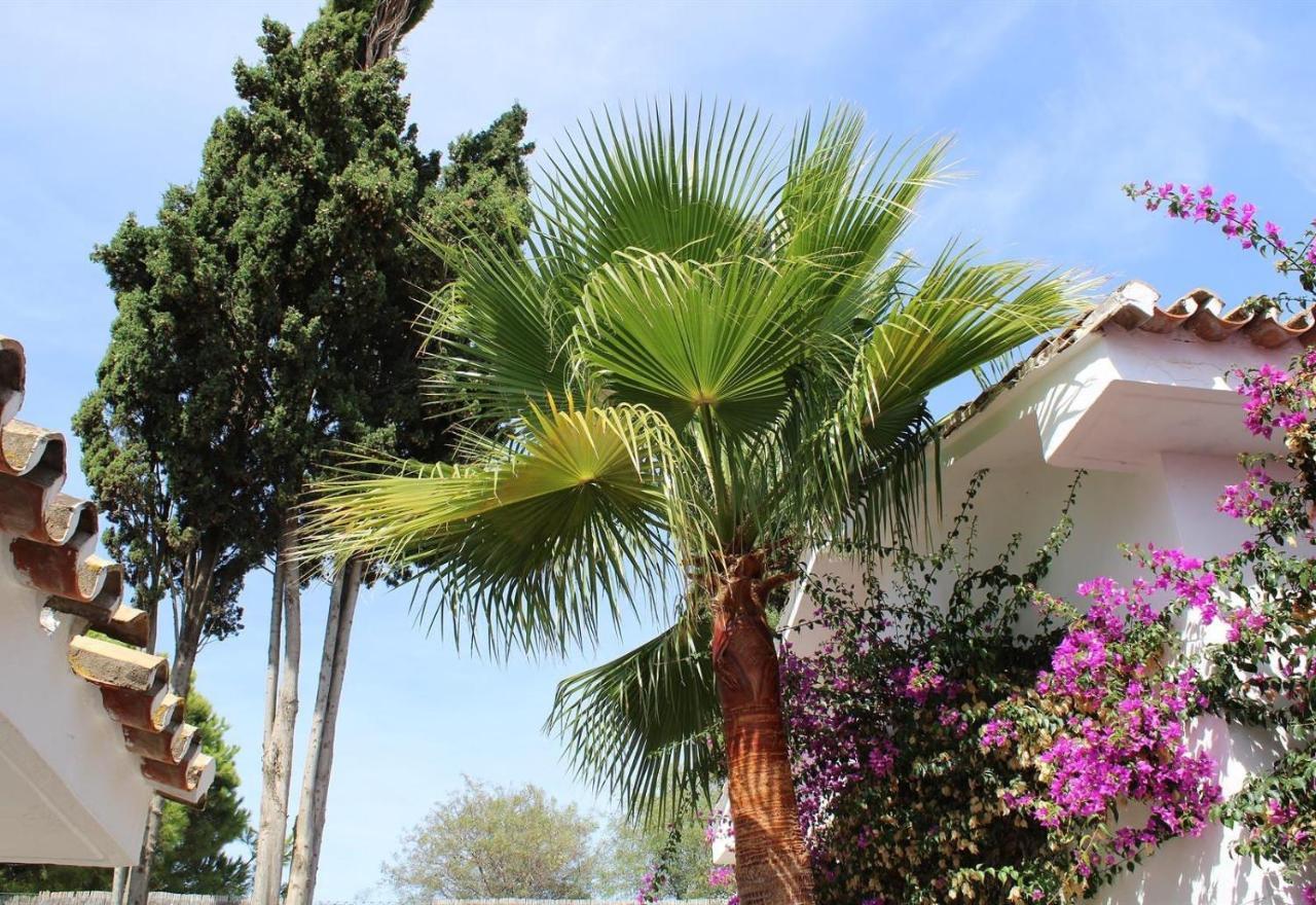 Casa Green Sitio de Calahonda Εξωτερικό φωτογραφία